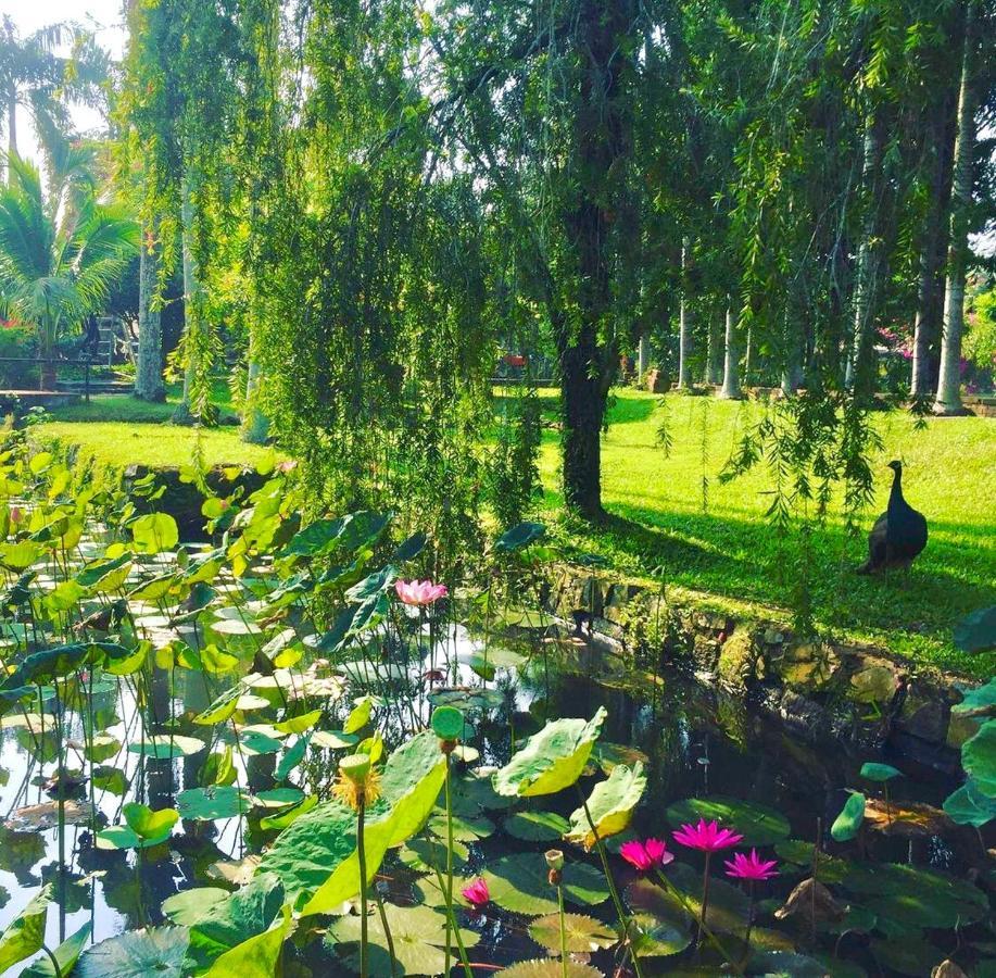 Les Hameaux De L'Orient Hotel Bandar Ho Chi Minh Luaran gambar